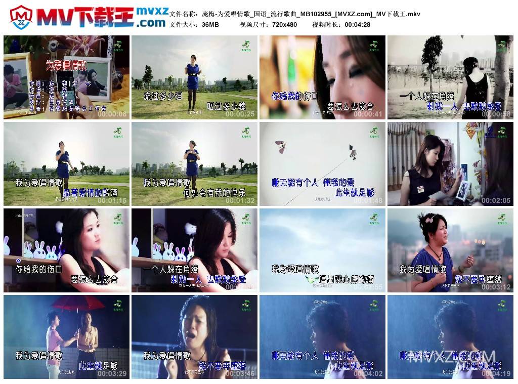 庞梅-为爱唱情歌_国语_流行歌曲_MB102955